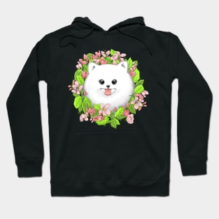 Spitz Hoodie